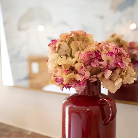 Apartment Loge Zen A 100m De Thermal Nancy