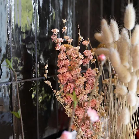 Apartment Loge Zen A 100m De Thermal *