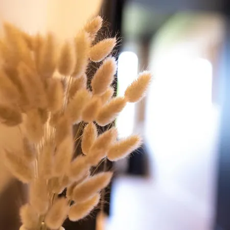 Loge Zen A 100m De Thermal Nancy