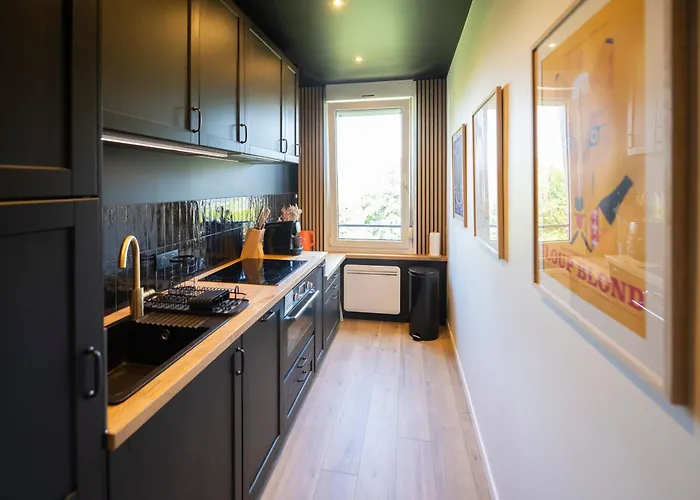 公寓 Loge Zen A 100m De Thermal 南锡