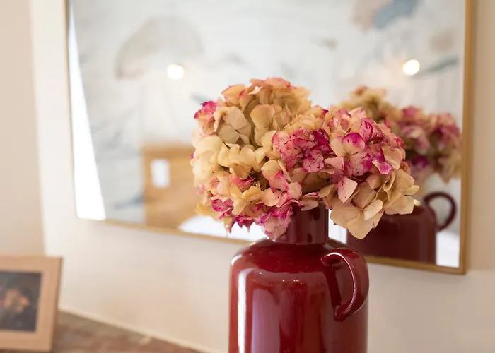 Loge Zen A 100m De Thermal 公寓 南锡