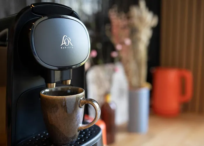 Loge Zen A 100m De Thermal *