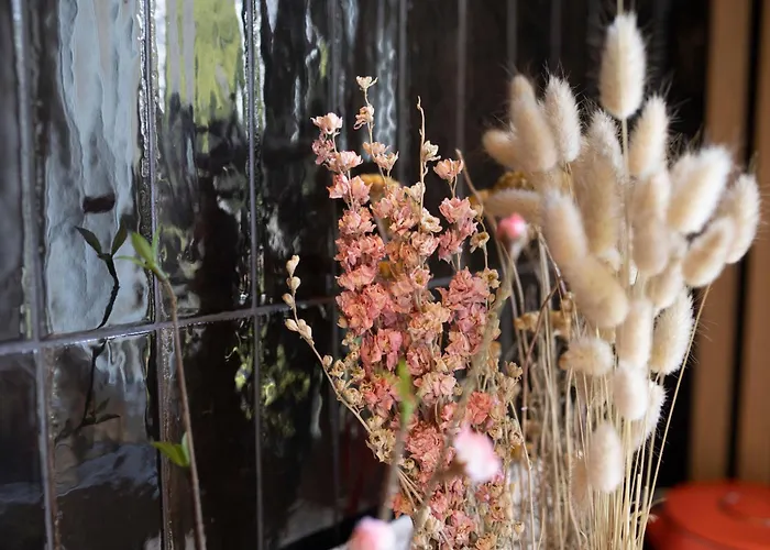 公寓 Loge Zen A 100m De Thermal *