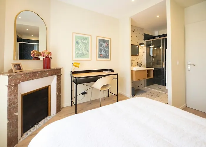 Loge Zen A 100m De Thermal 公寓 南锡