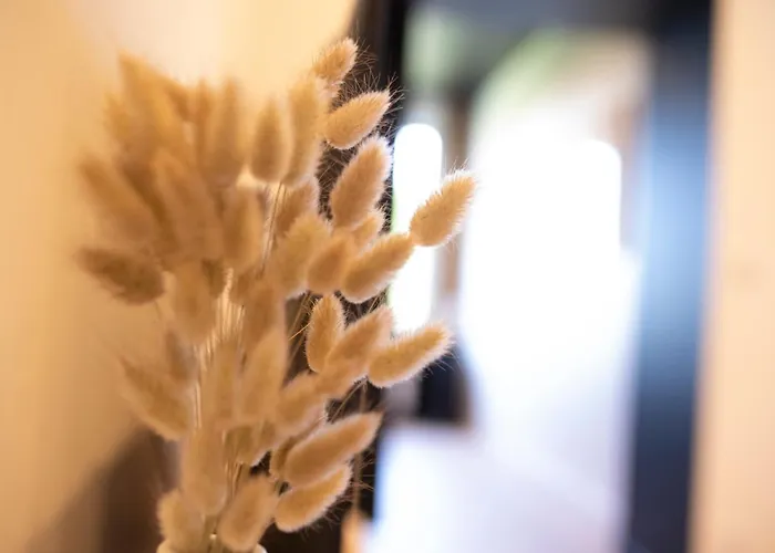 Loge Zen A 100m De Thermal 南锡